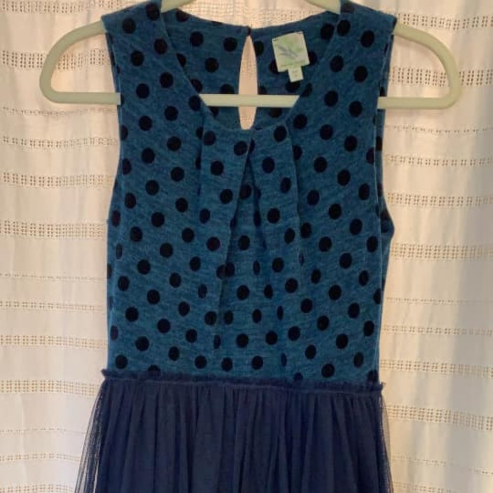 Anthropologie Sparrow Polka Dot Tulle dress - Picture 3 of 4